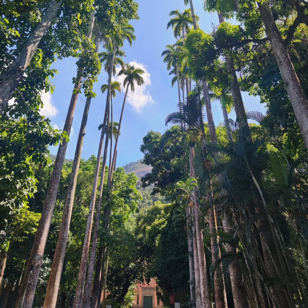 484622616 551479390782761 2277697966852211963 n 18000574862748908